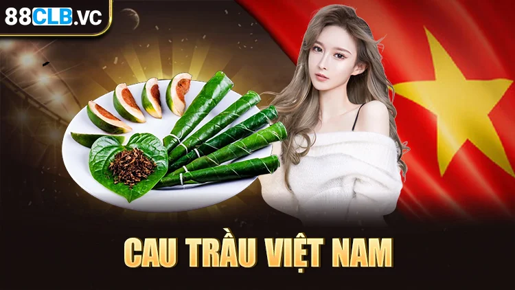 van-hoa-cau-trau-tai-viet-nam