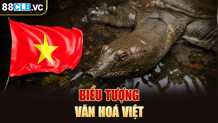 baba-thuoc-ho-rua-motu-phan-trong-van-hoa-viet