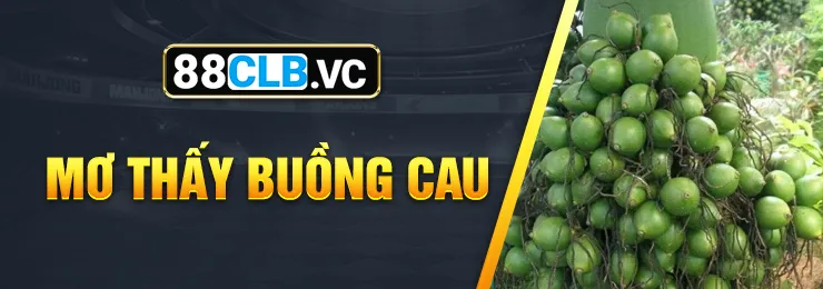 mo-thay-buong-cau